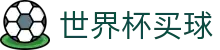 FIFA世界杯买球官方网站 - 2026世界杯赔率中心 | 注册与登录